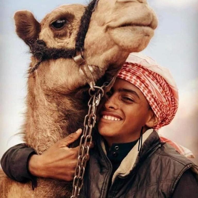 Wadi Rum Desert Heart Camp Εξωτερικό φωτογραφία