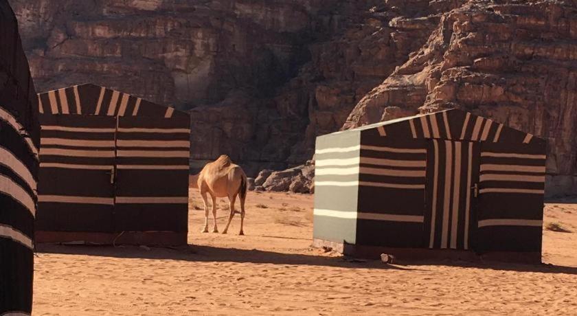 Wadi Rum Desert Heart Camp Εξωτερικό φωτογραφία